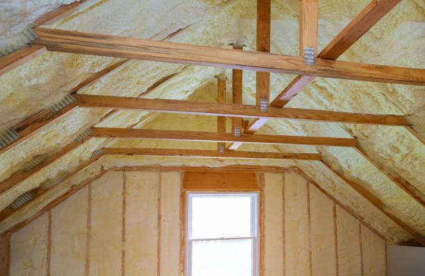 Best Insulation Maintenance and Repair in Lazy Mountain, AK