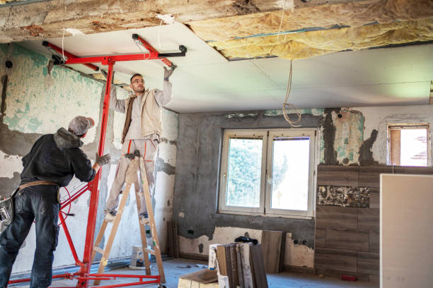 Best Spray Foam Insulation in Lazy Mountain, AK