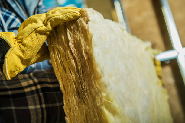 Types of Insulation We Offer in Lazy Mountain, AK