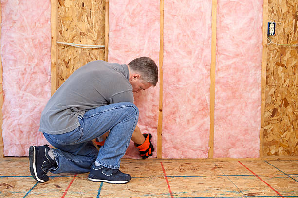 Best Fiberglass Insulation in Lazy Mountain, AK
