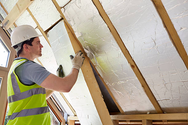 Best Cellulose Insulation in Lazy Mountain, AK